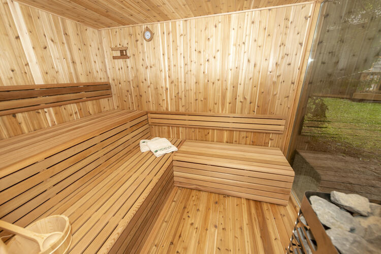 Pure Cube Neptune Sauna