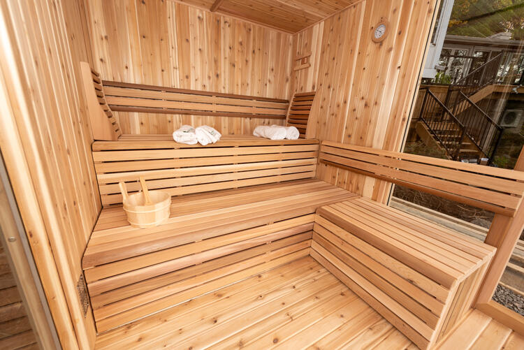Pure Cube Orion Sauna